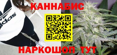 jwh Будённовск