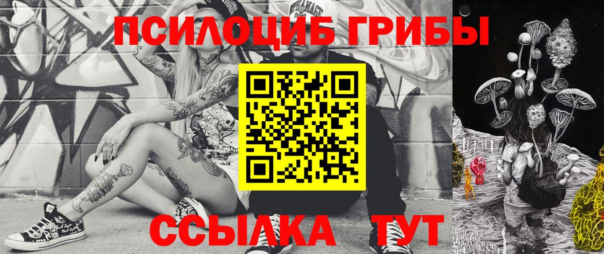 Галлюциногенные грибы ЛСД  Галлюциногенные грибы MAGIC MUSHROOMS  как найти закладки  Ноябрьск  Вход с VPN 