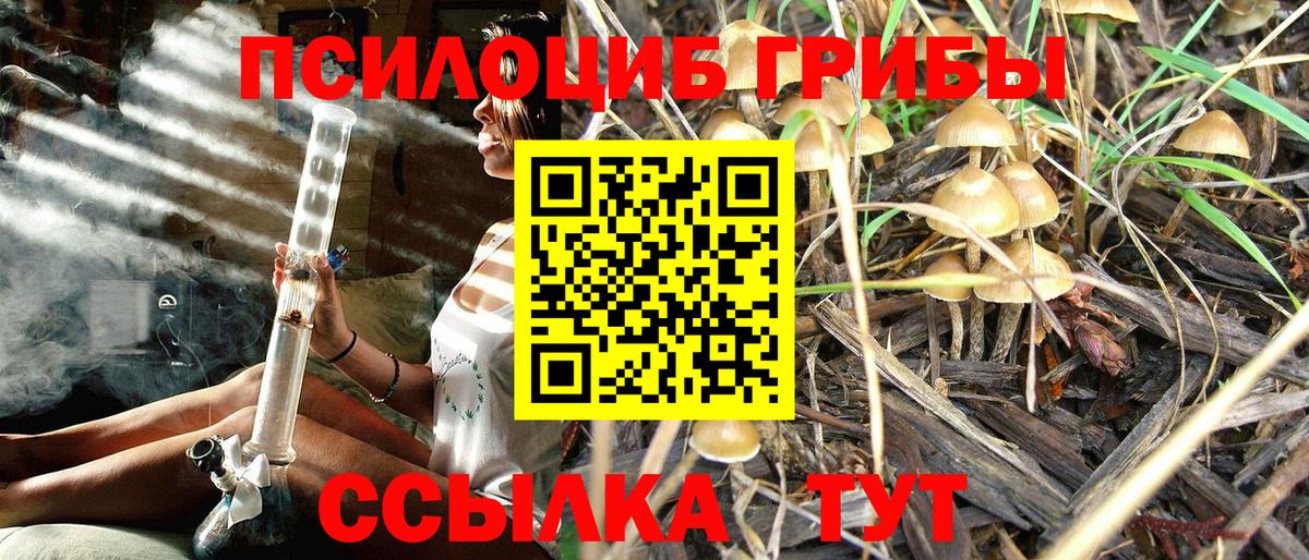 Псилоцибиновые грибы ЛСД Ноябрьск